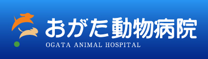 よくあるご質問｜栃木県小山エリアで動物病院をお探しの方は、おがた動物病院まで。